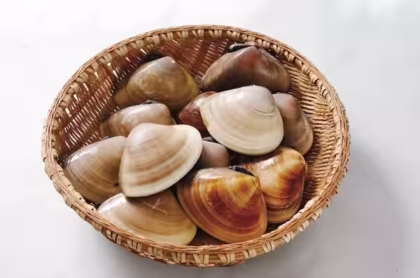 画像7