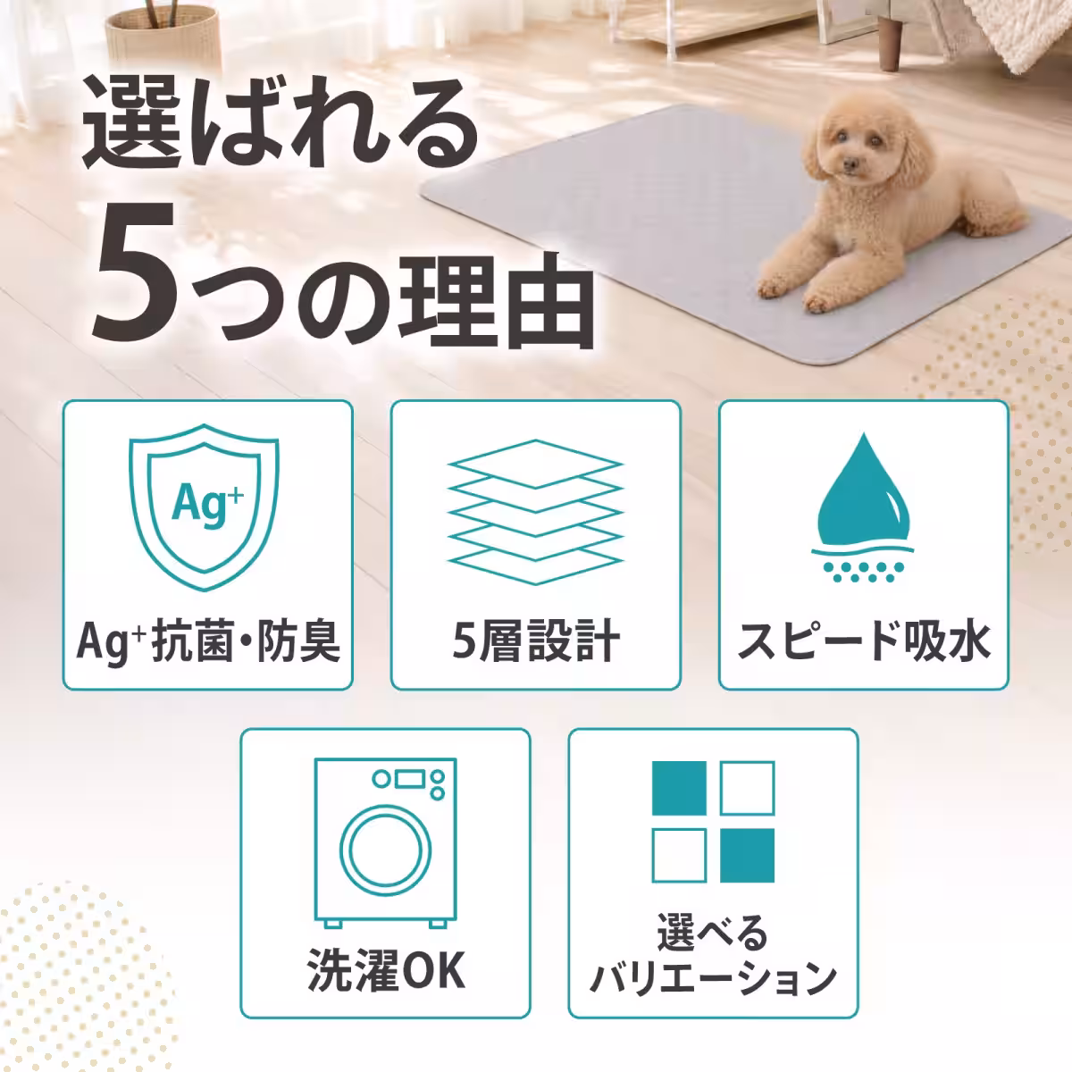 画像3