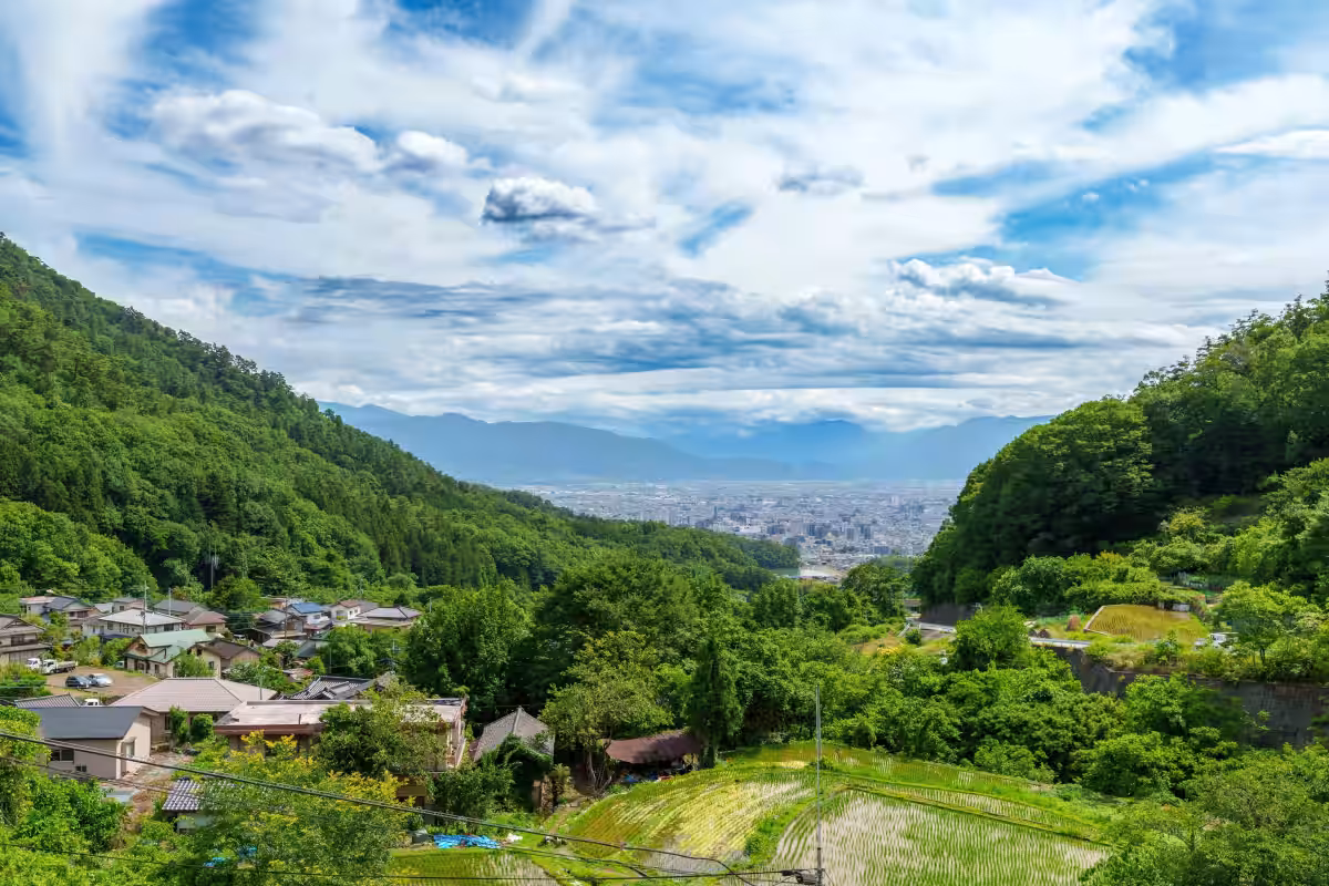画像20