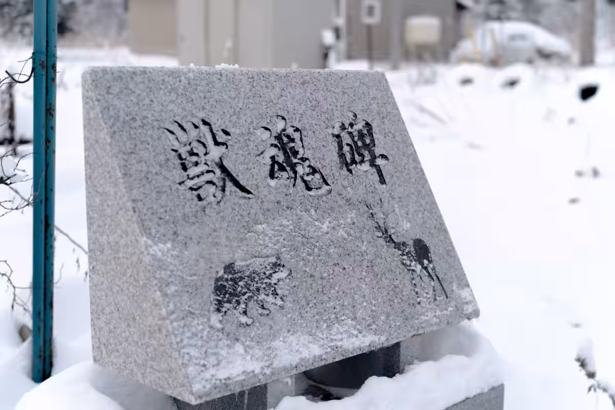 画像8