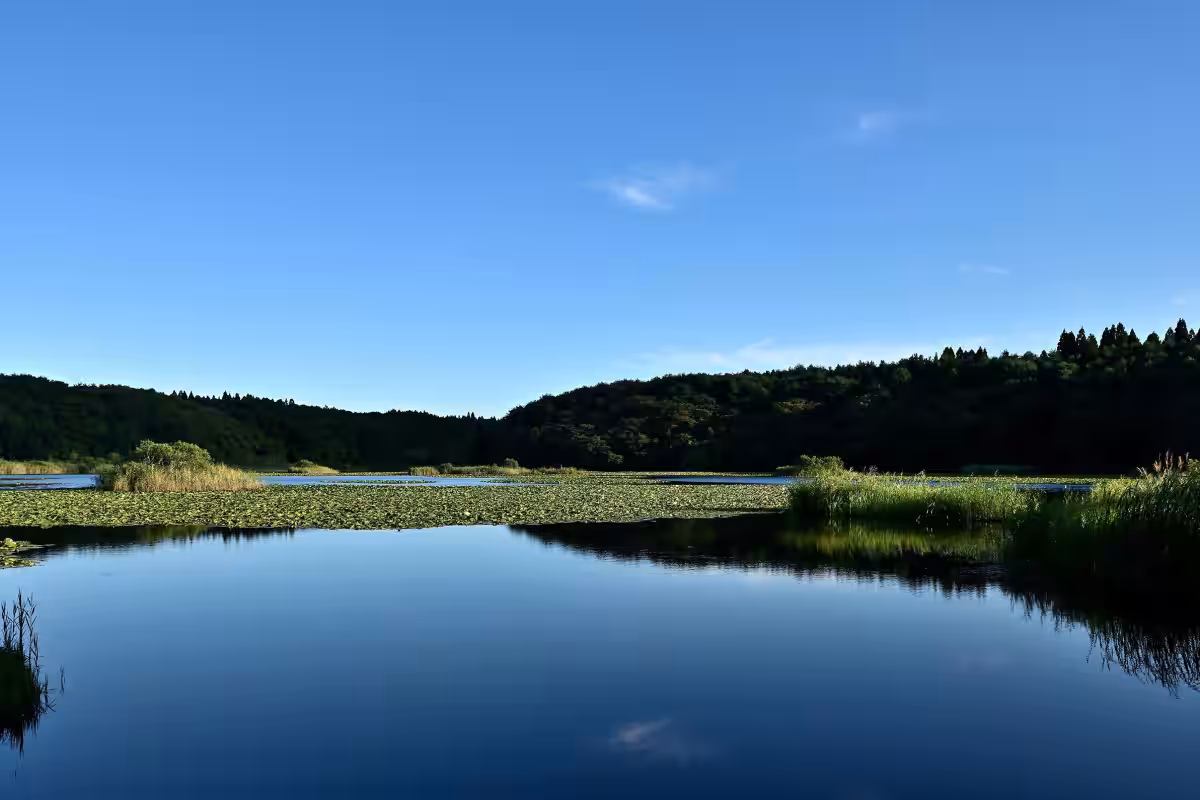 画像7