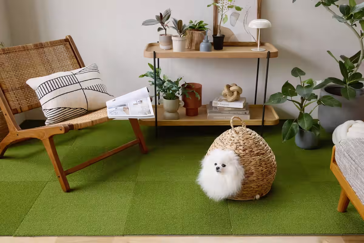 画像5