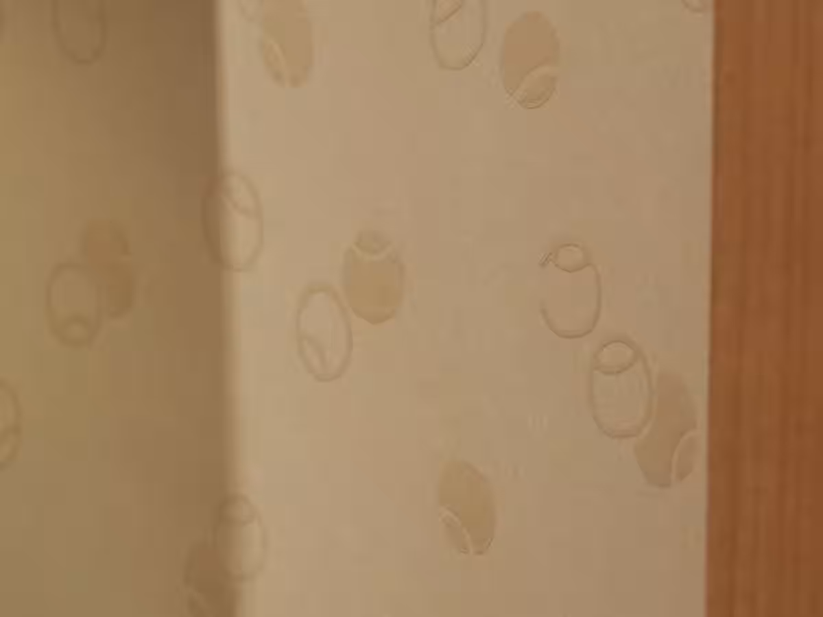 画像15