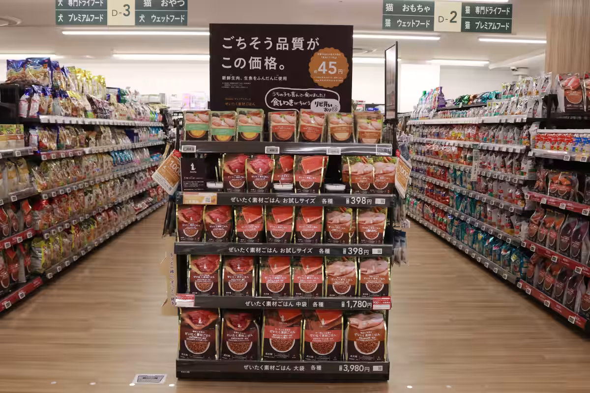画像12