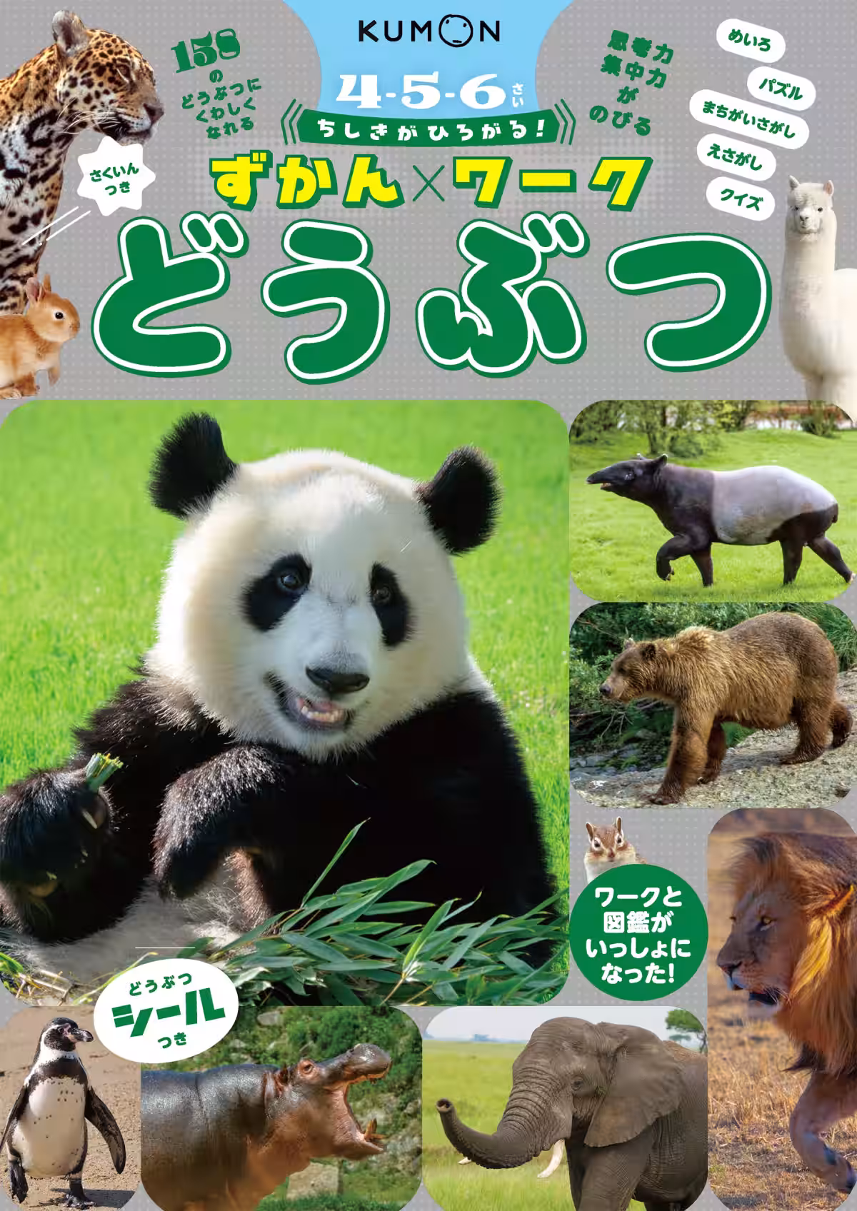 画像8