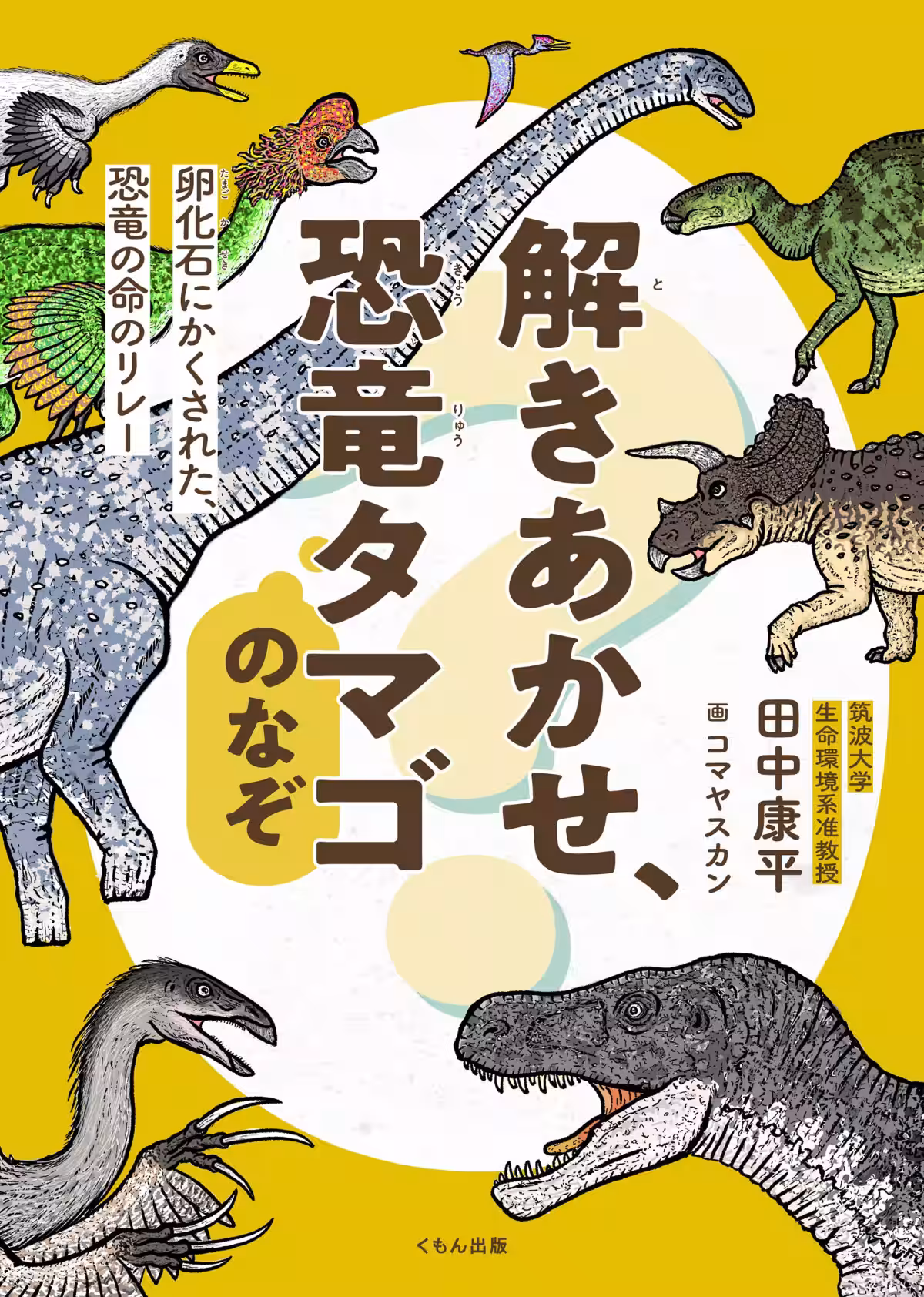 画像7
