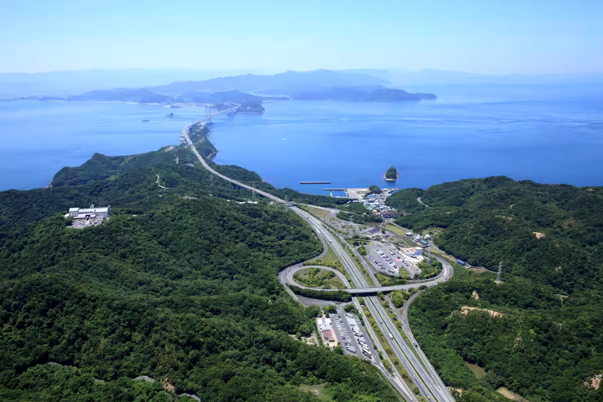 画像8