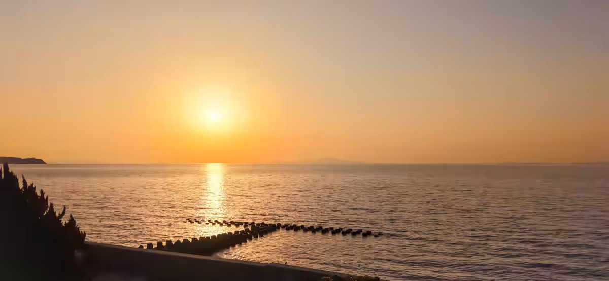 画像16