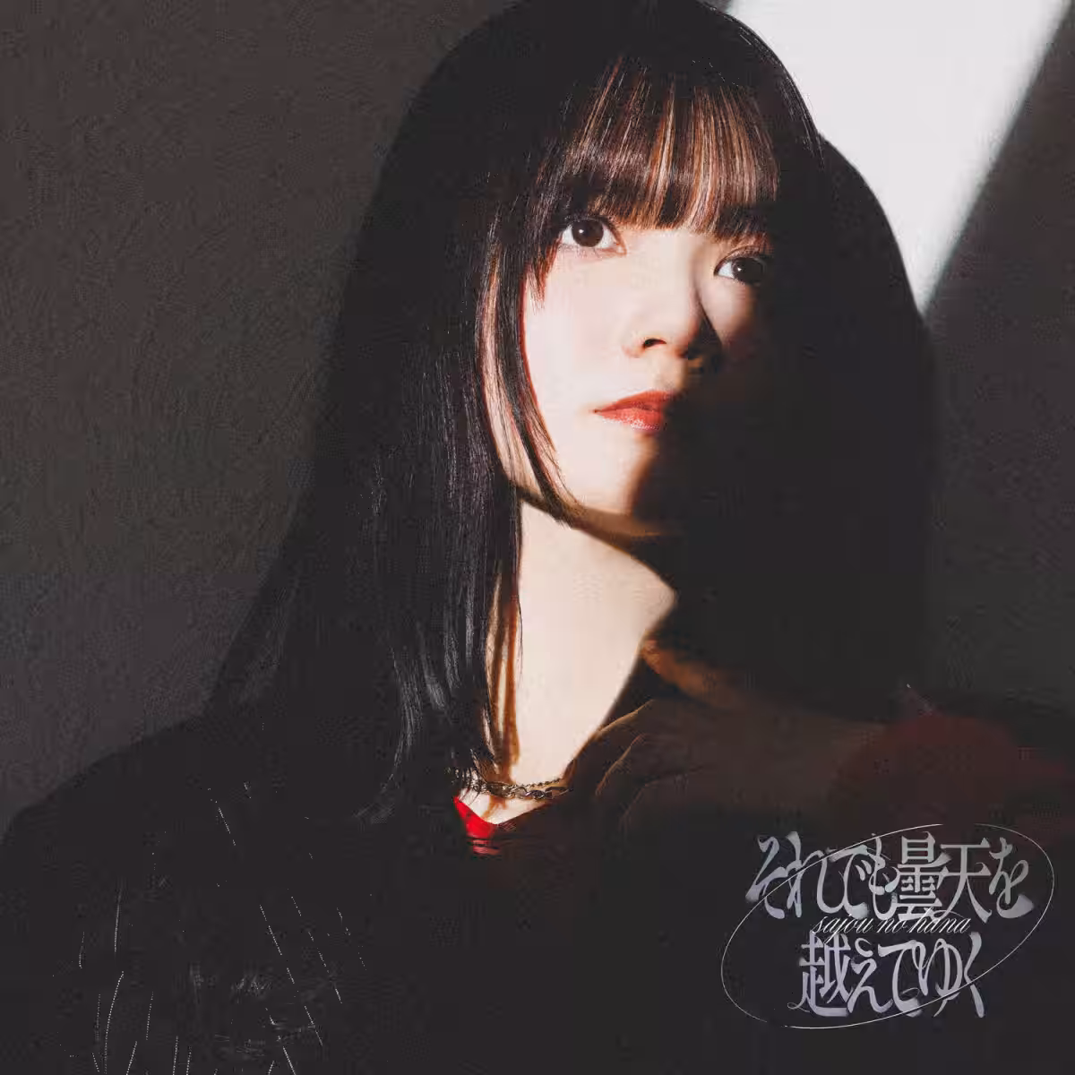 画像11