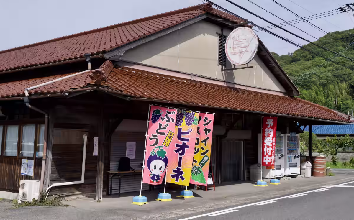 画像5