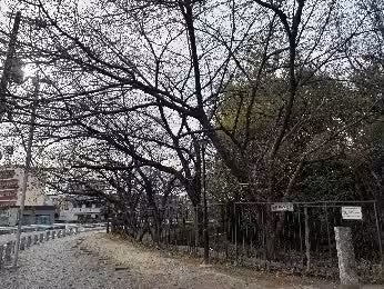 画像17