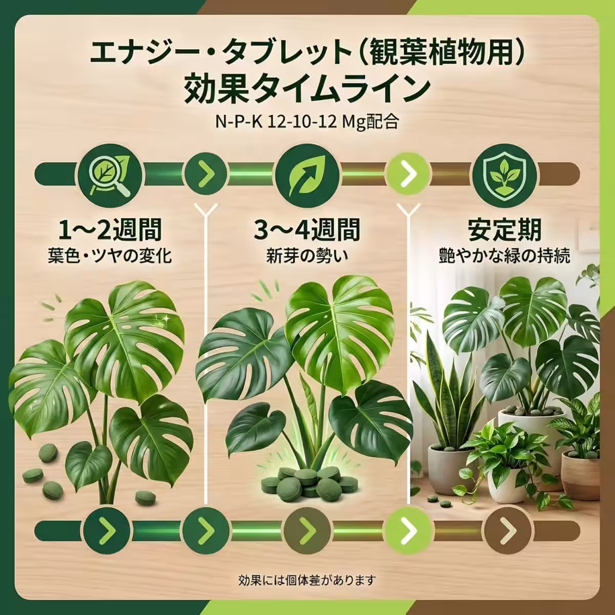 画像12