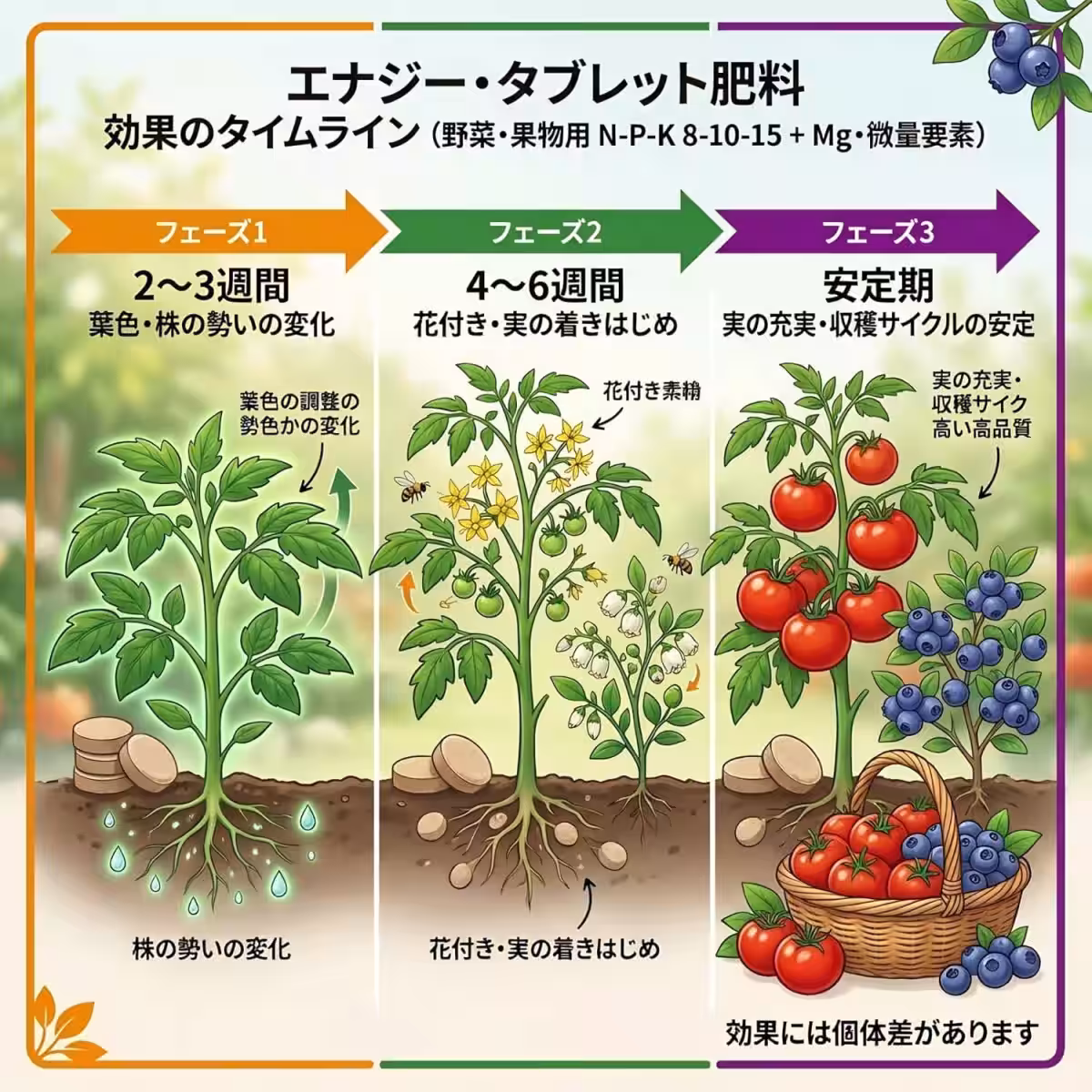 画像14
