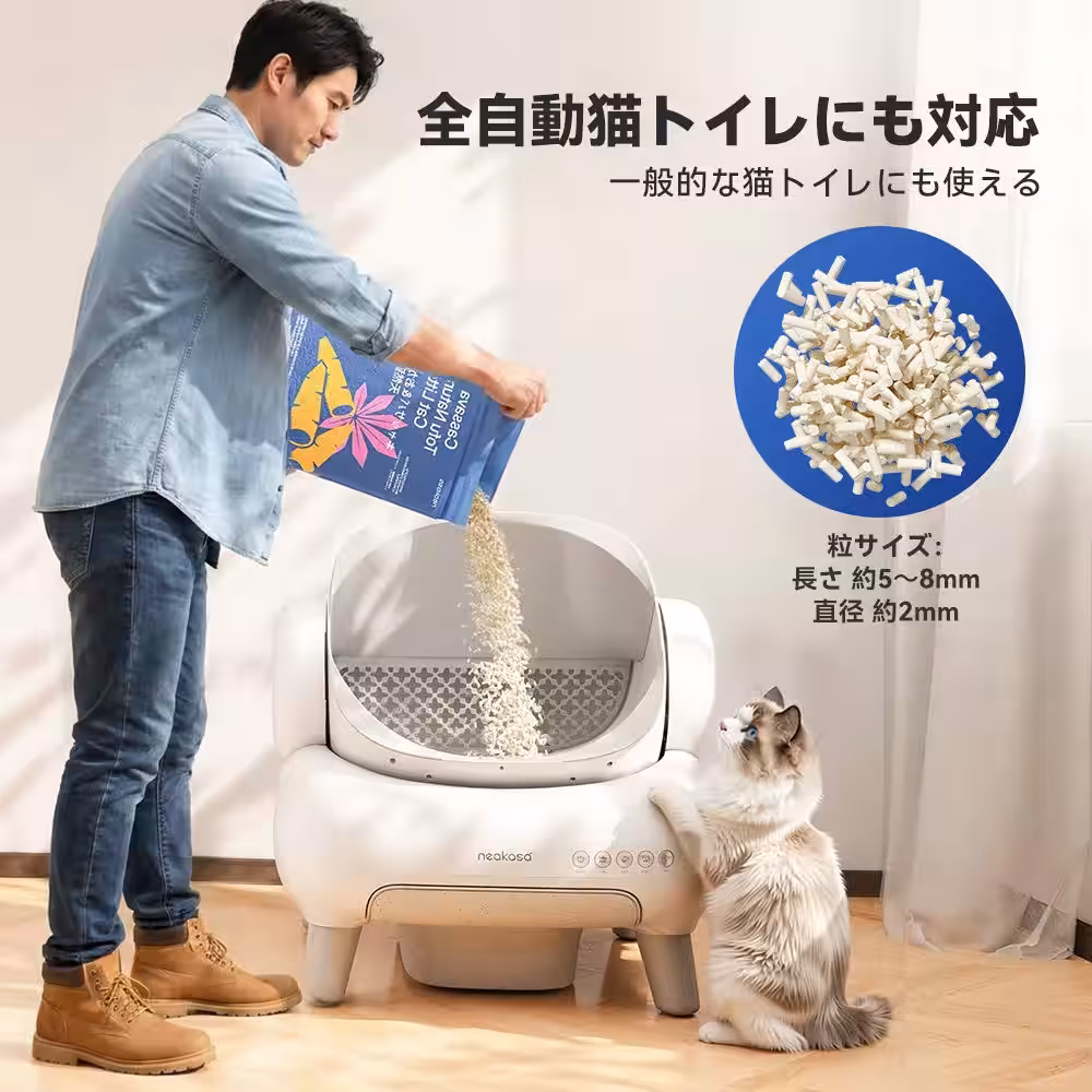 画像5