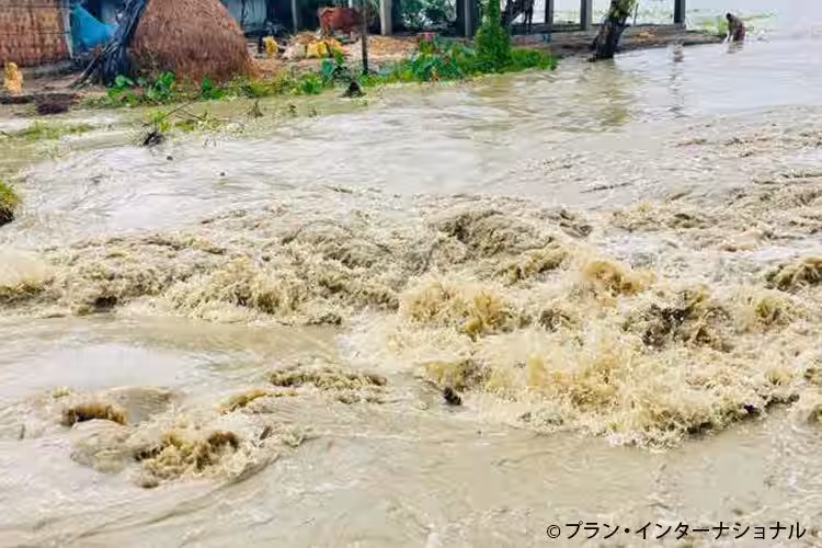 画像6