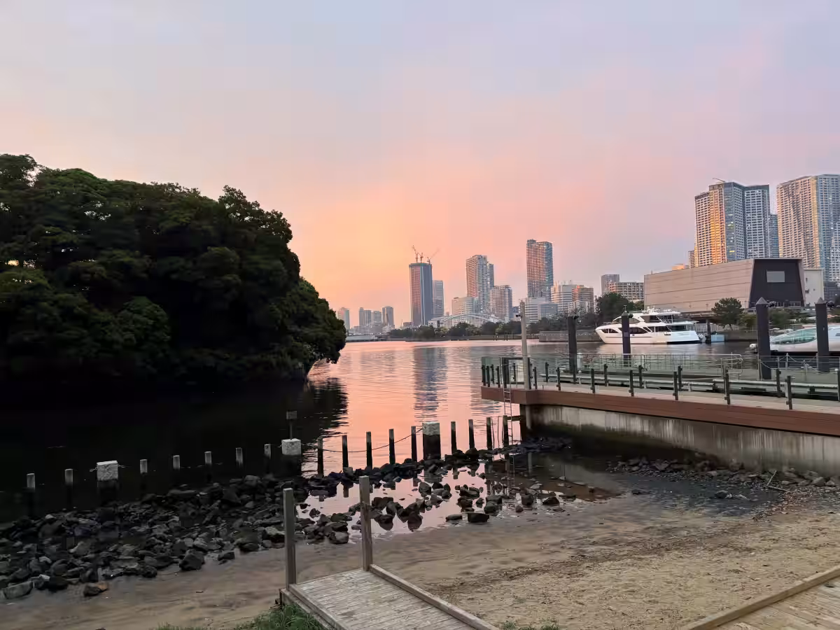 画像6
