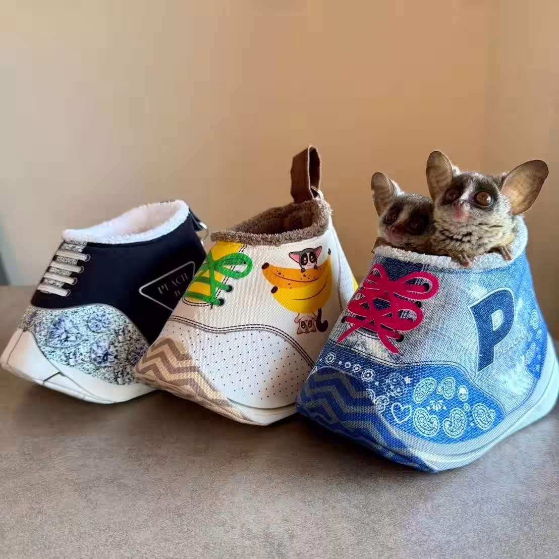 画像7