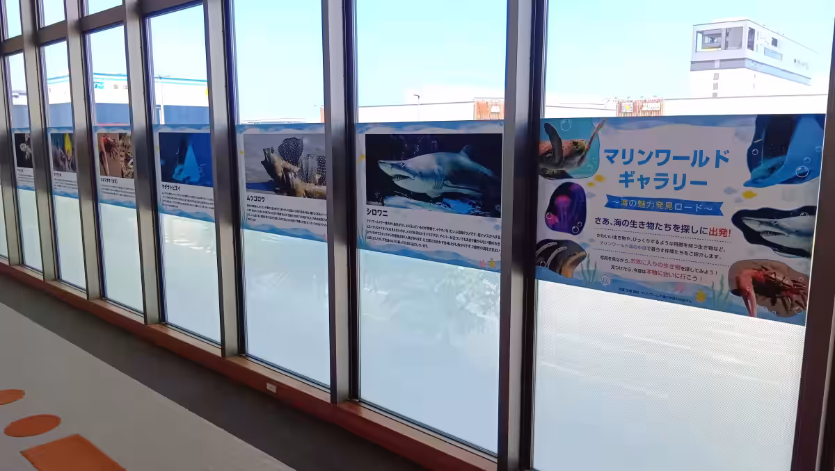画像7