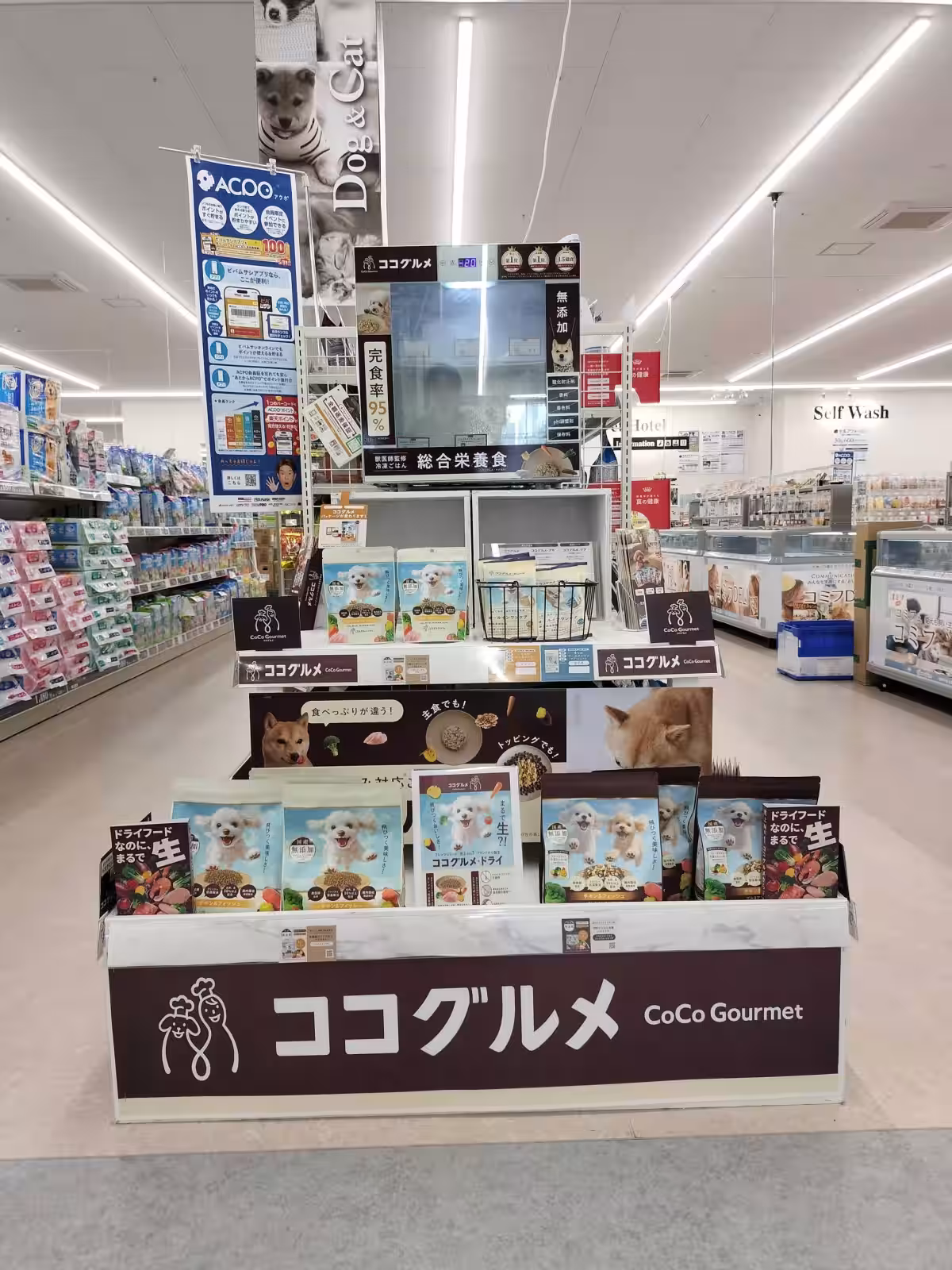 画像4