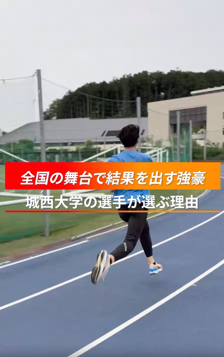 画像17