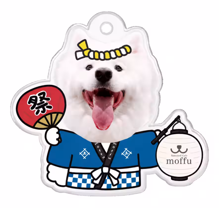 画像5