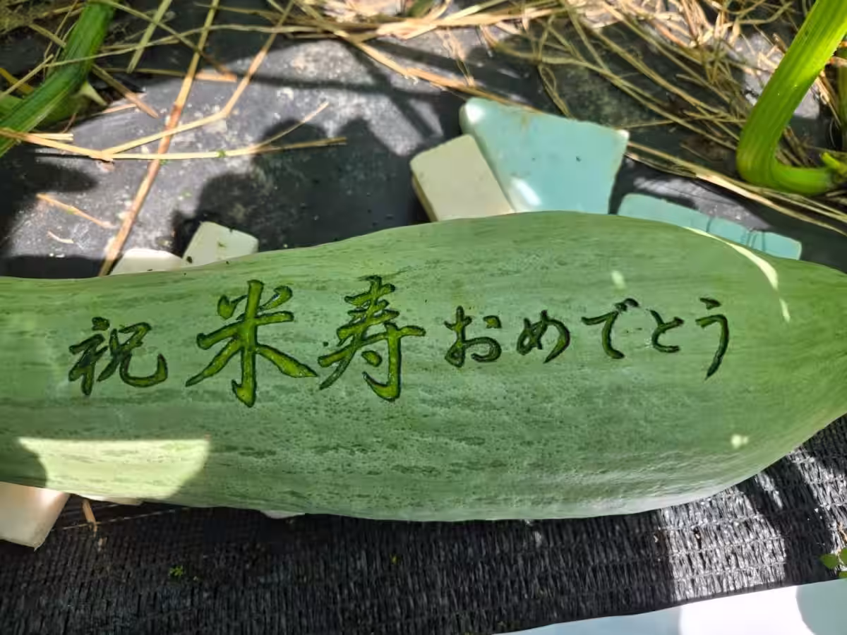 画像6