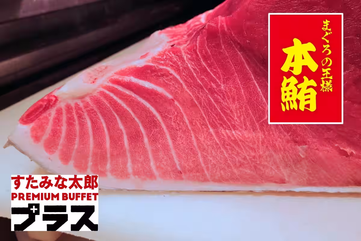 画像16