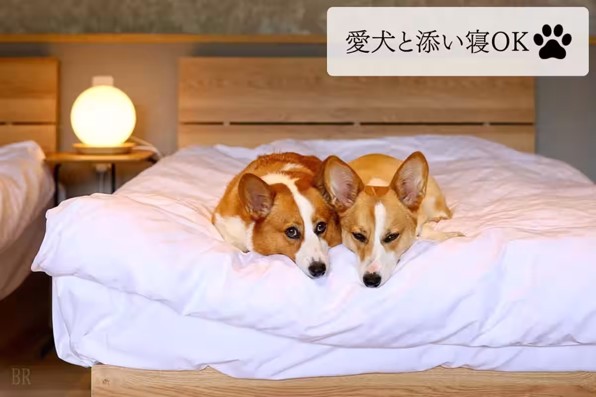 画像15