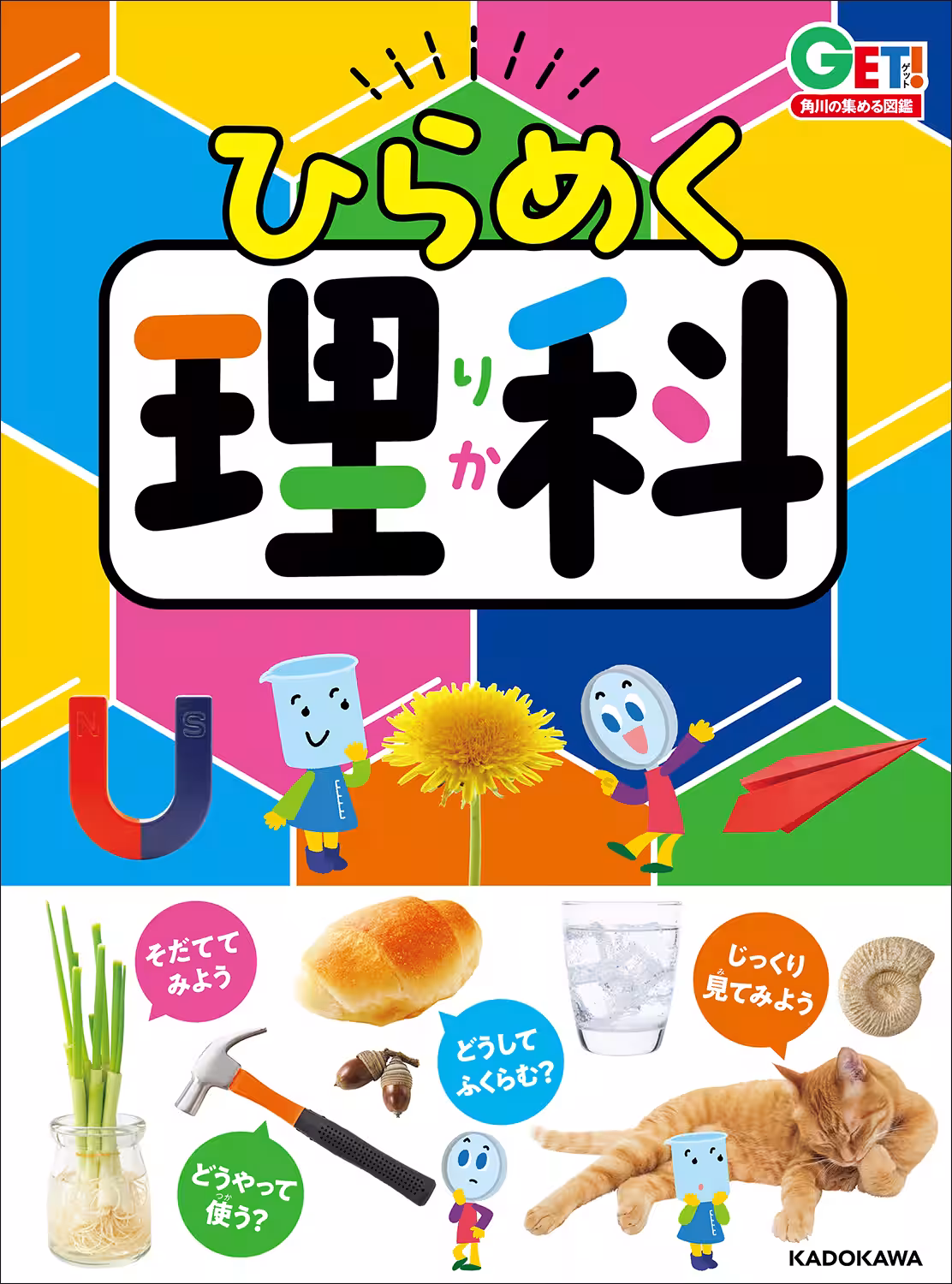画像7