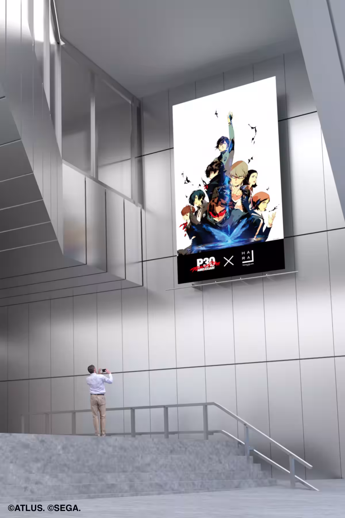 画像7