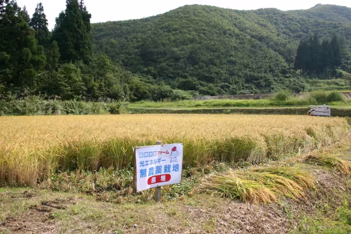 画像8