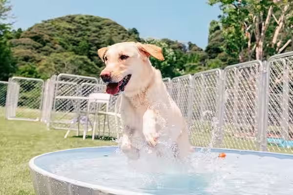 画像8