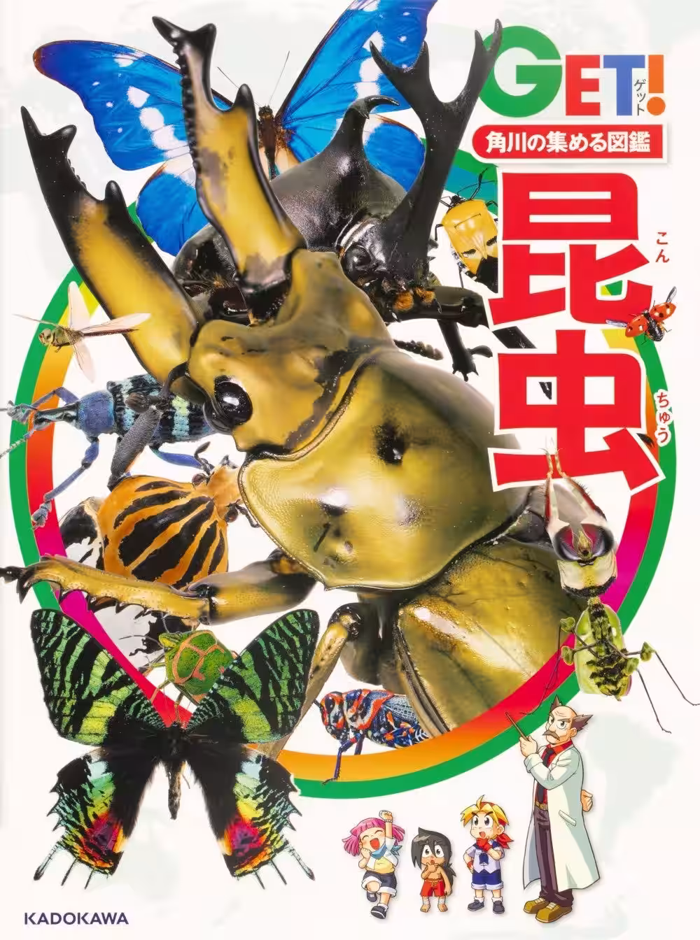画像4