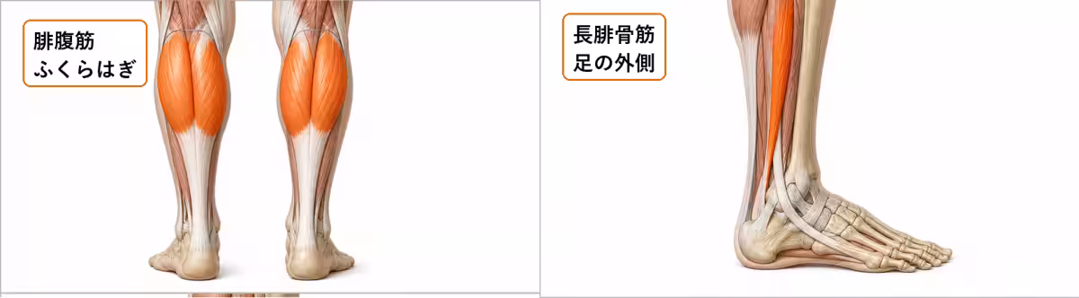 画像13
