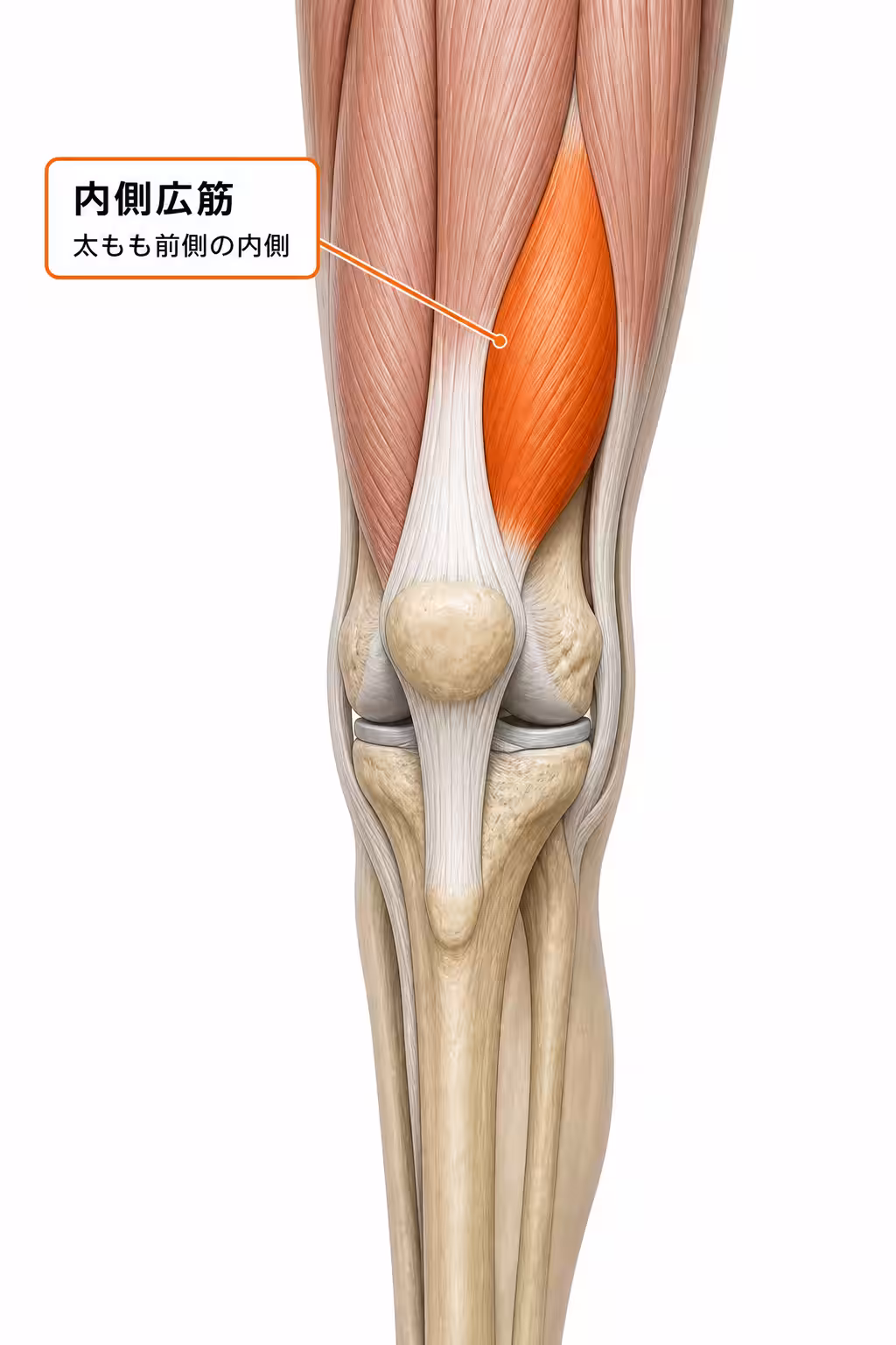 画像11