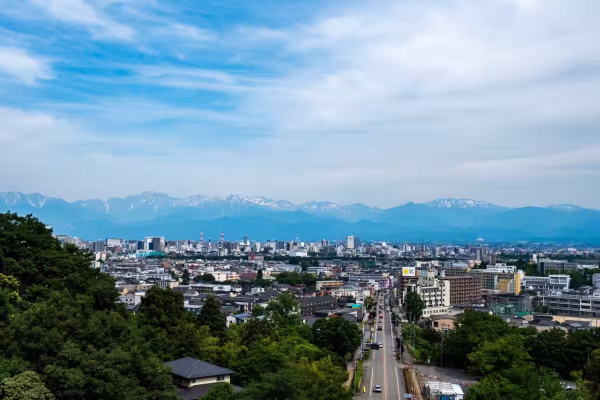 画像8