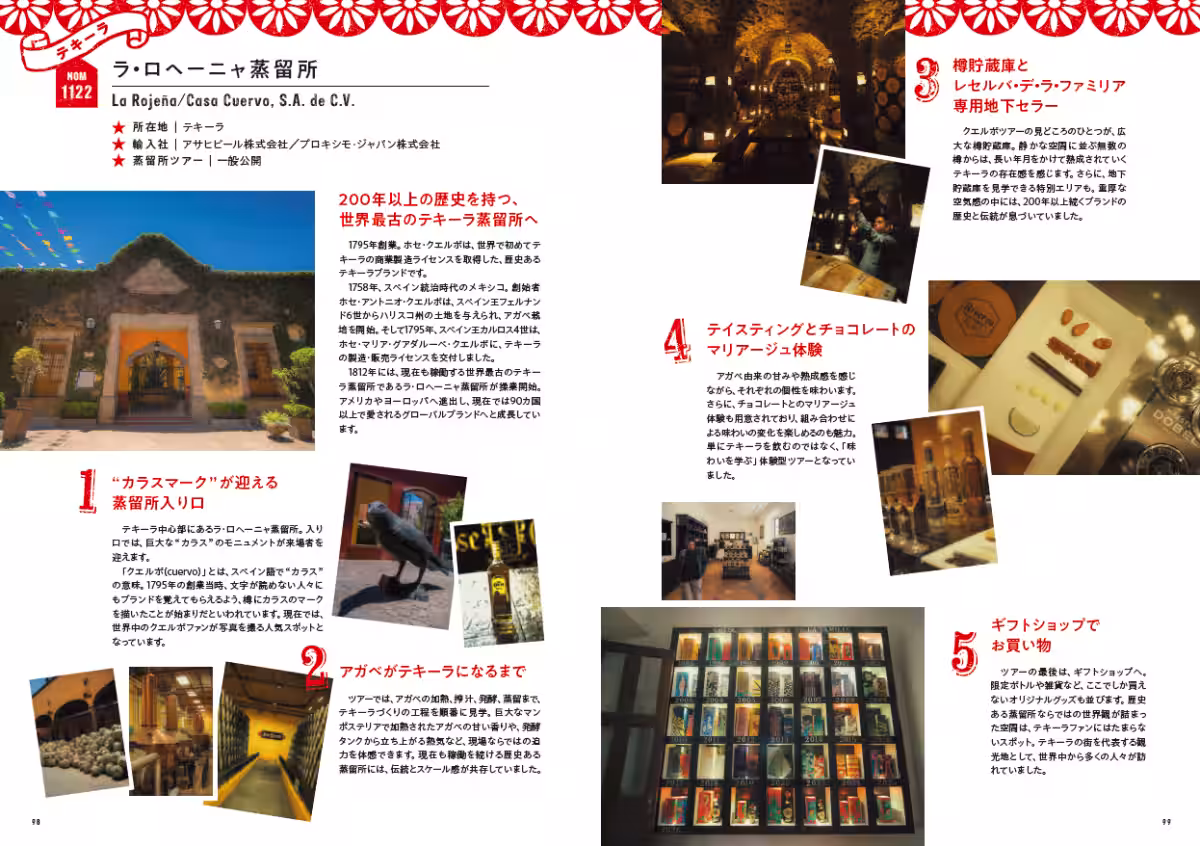 画像8
