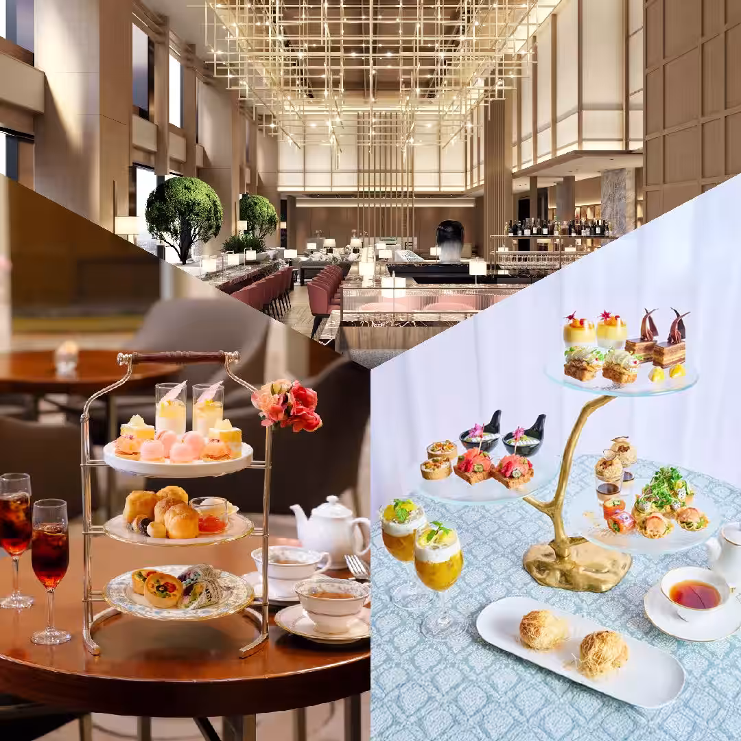 画像15