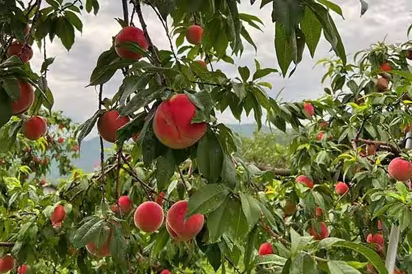 画像3