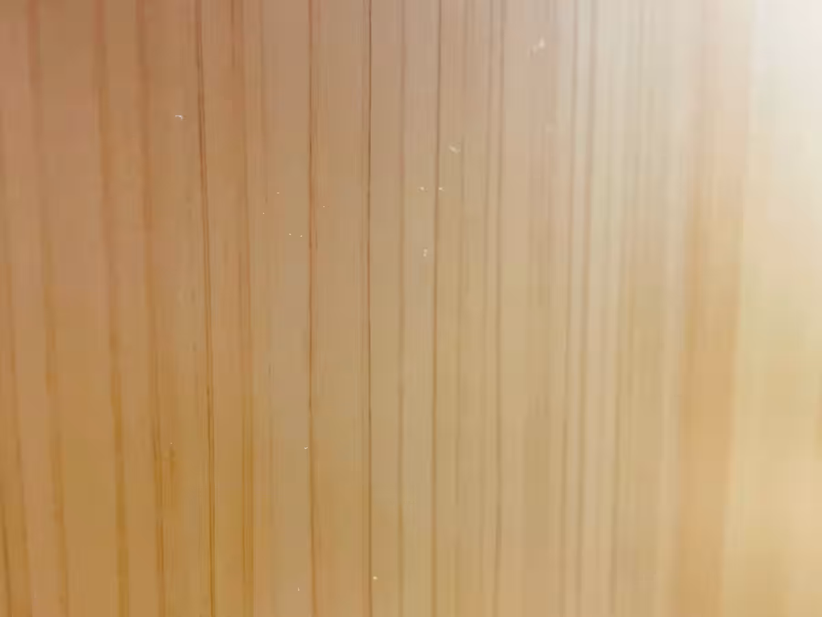 画像27