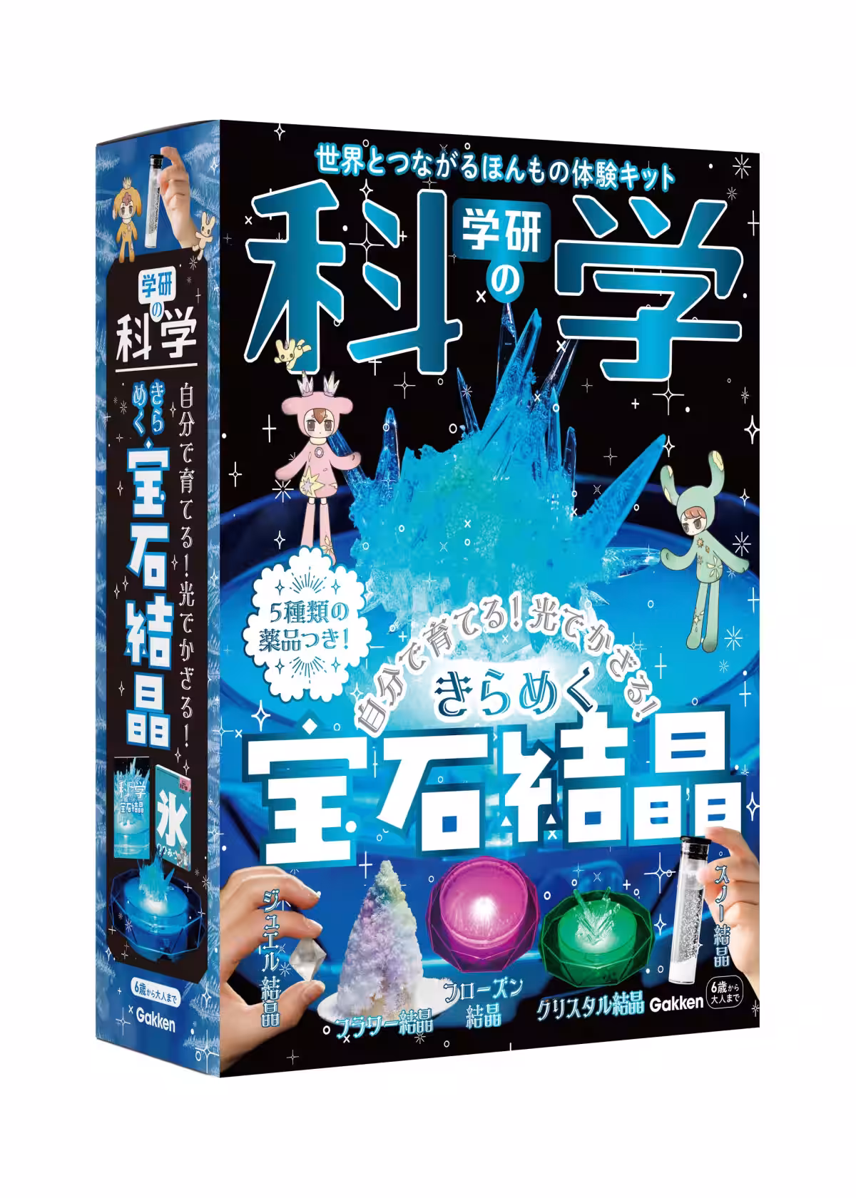 画像5