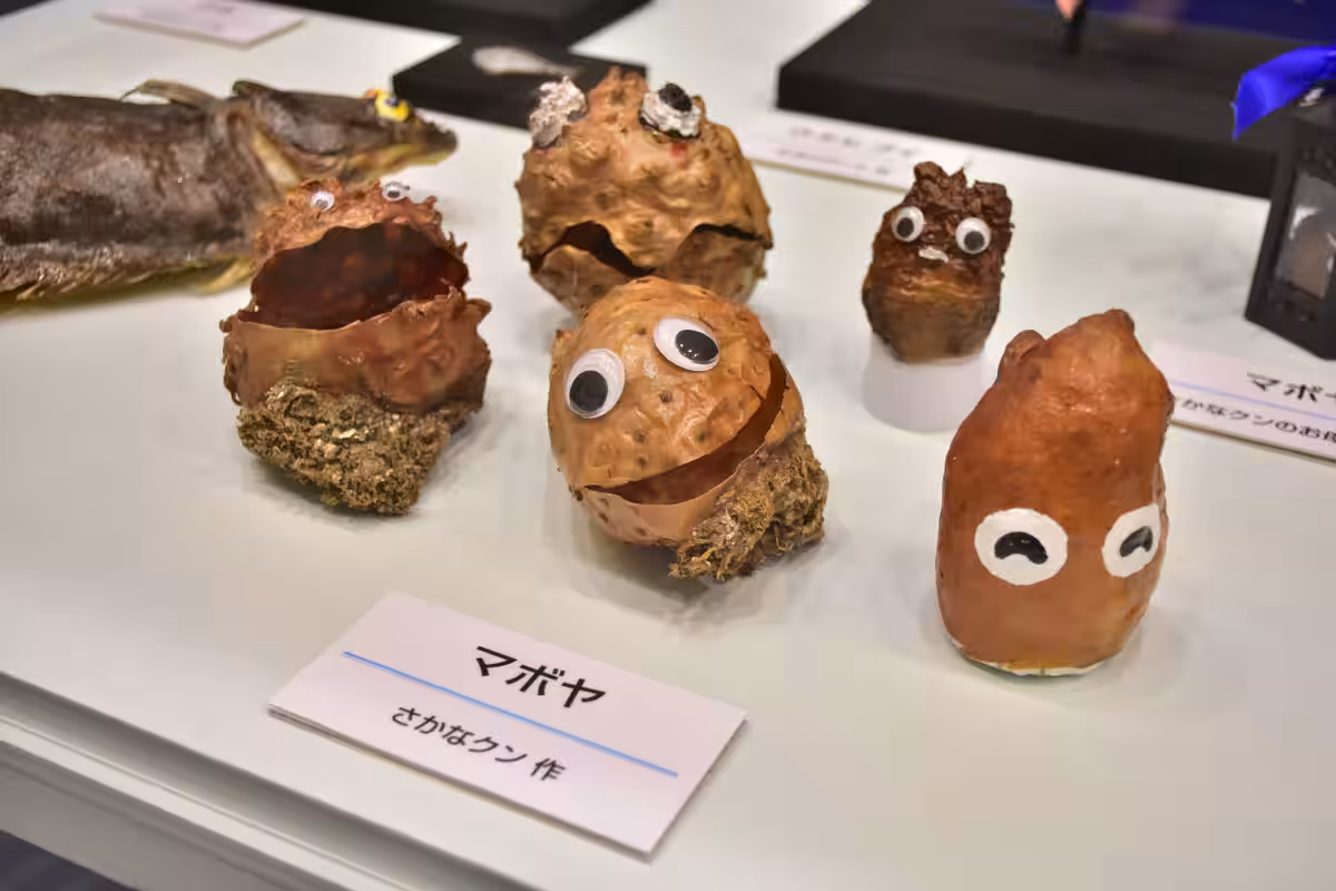 画像8