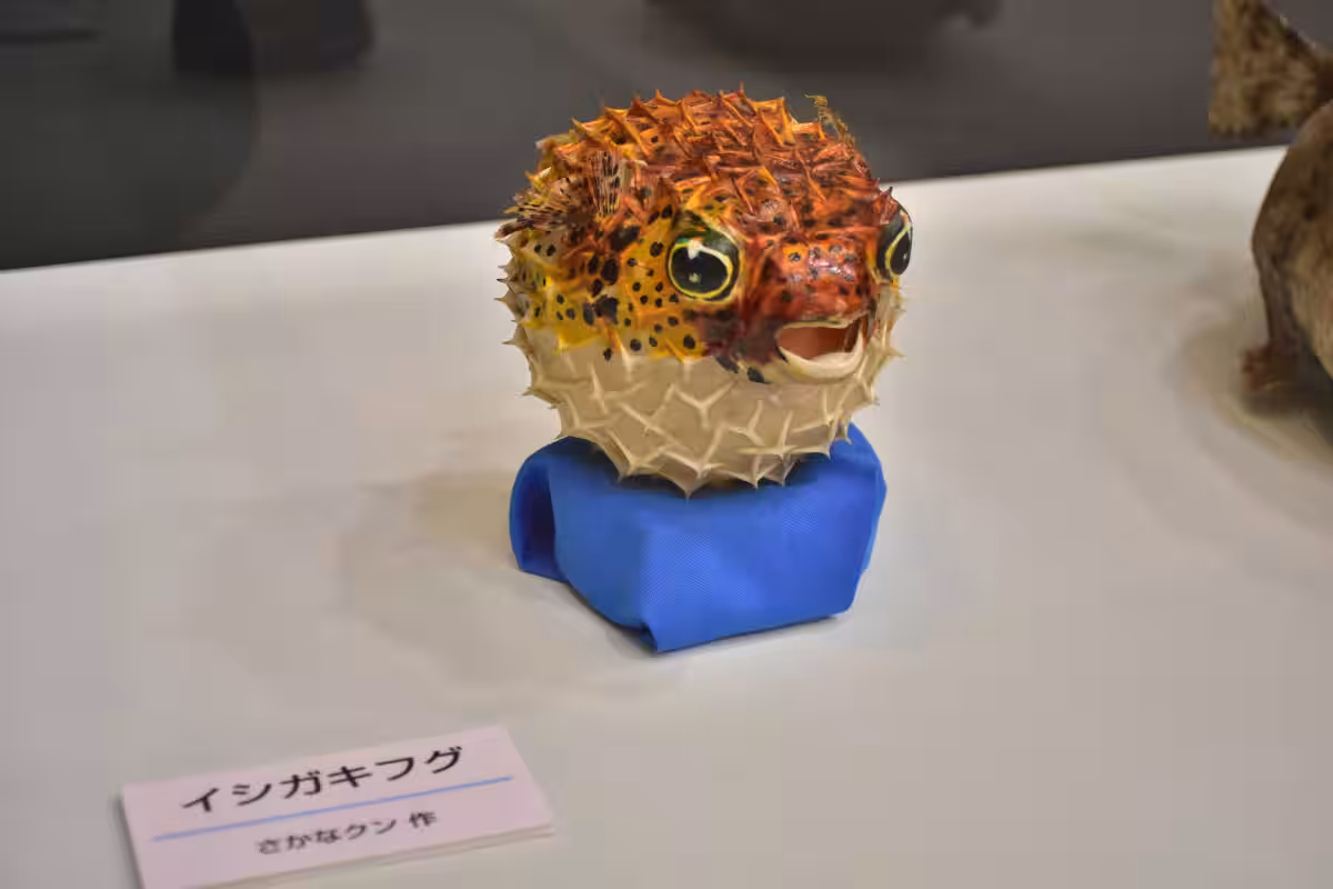 画像5