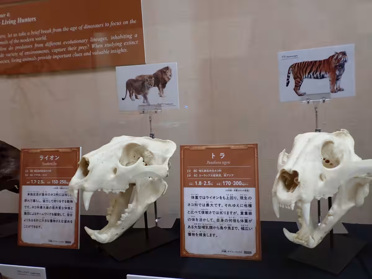 画像9