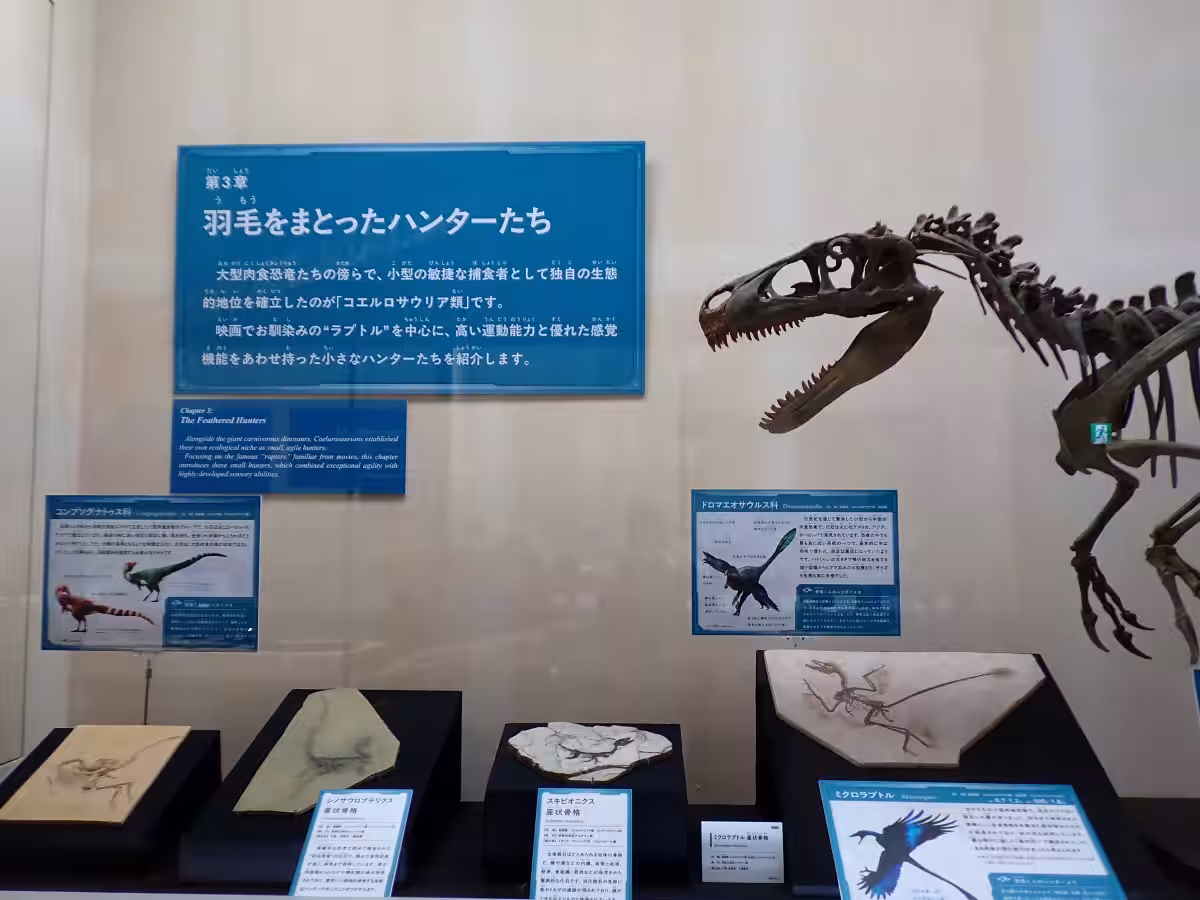 画像6