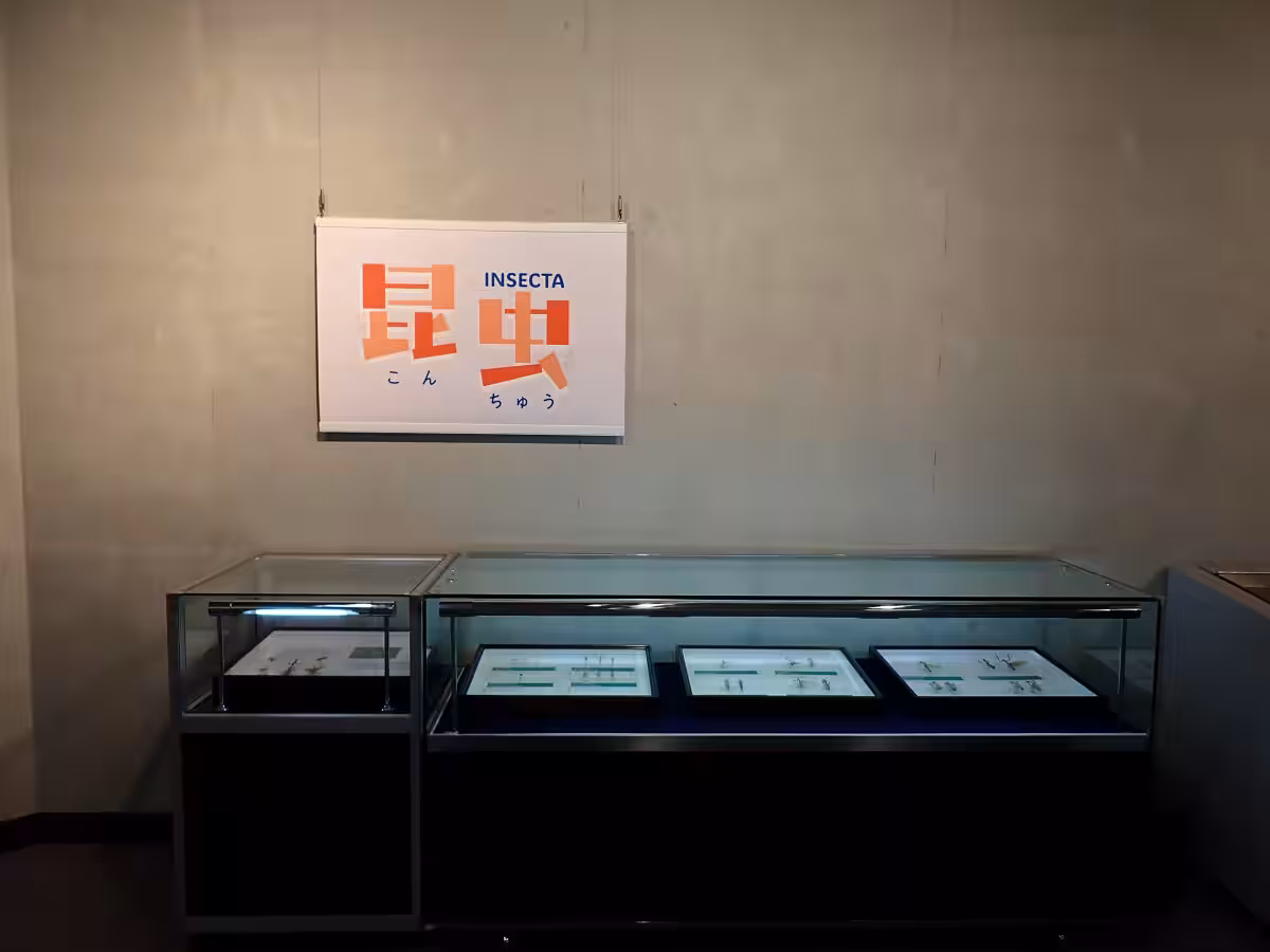 画像16