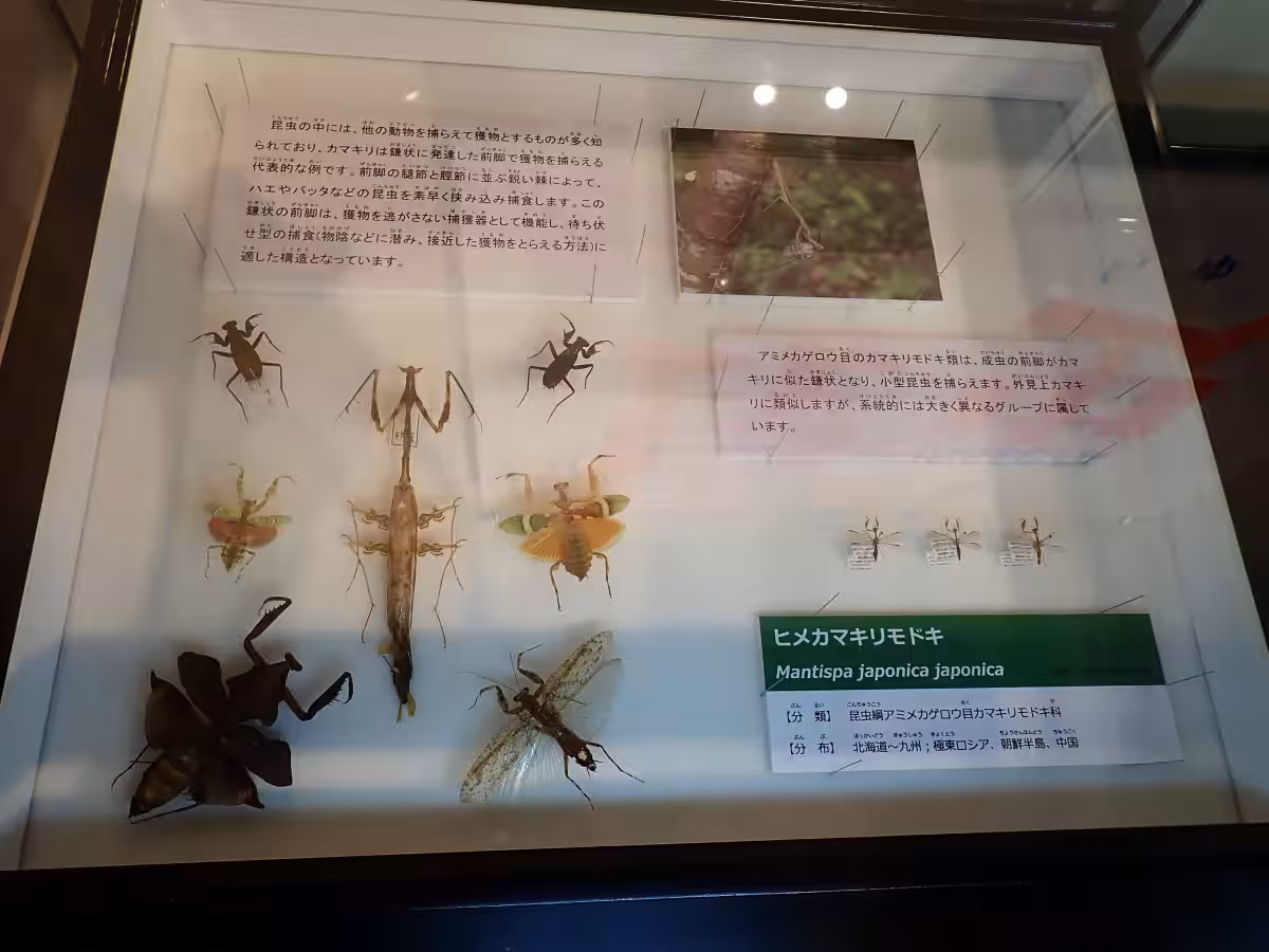 画像17