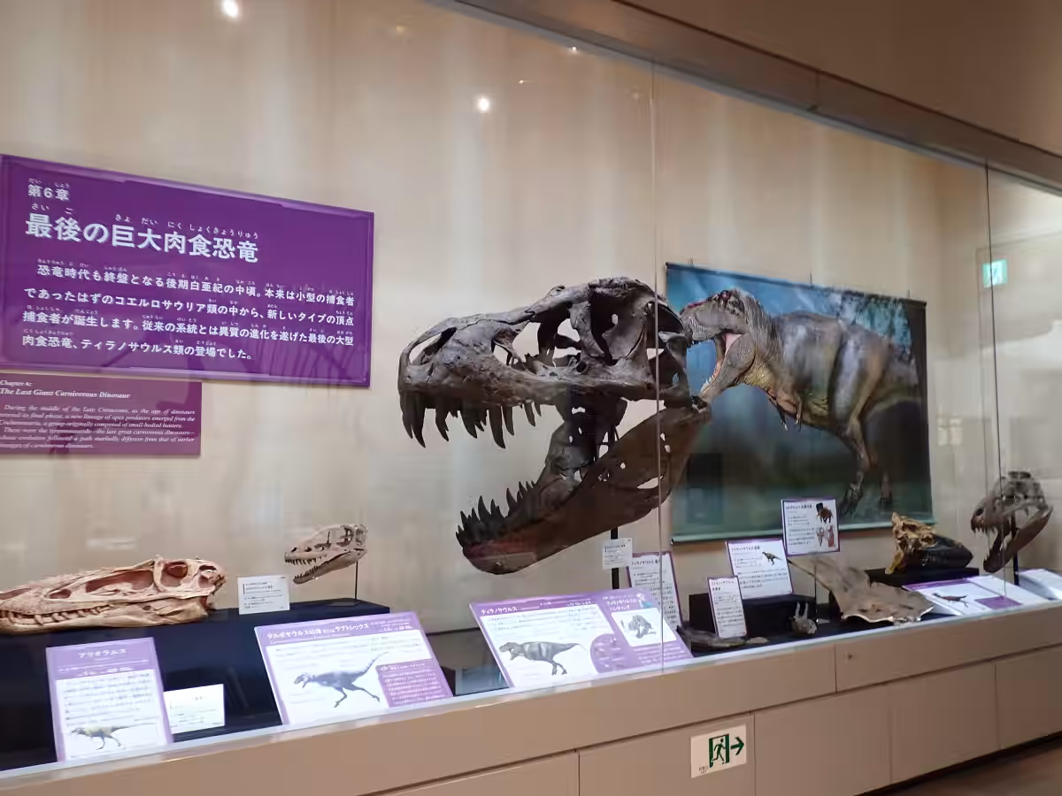 画像12
