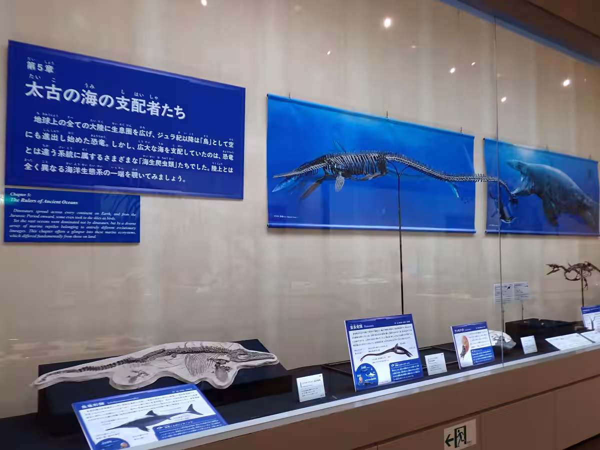 画像10