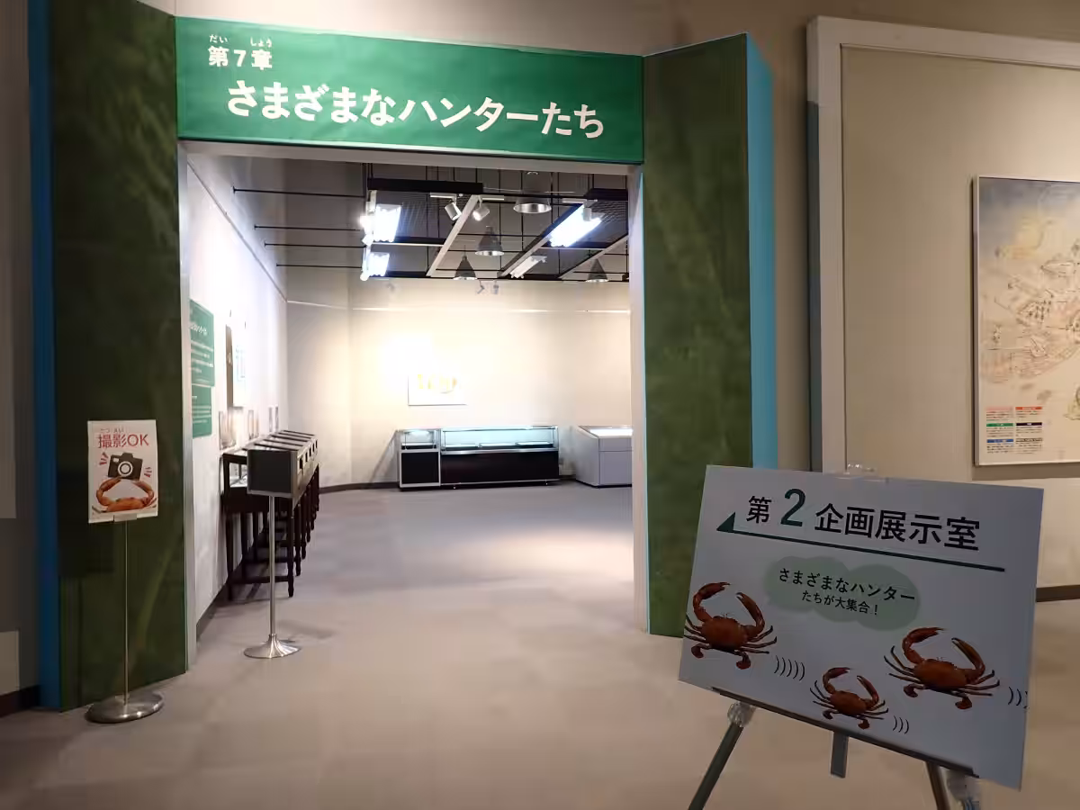 画像14